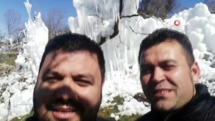 Mersin'in yüksek kesimlerinde ağaçlar 'Buz sarkıtları' ile kaplandı