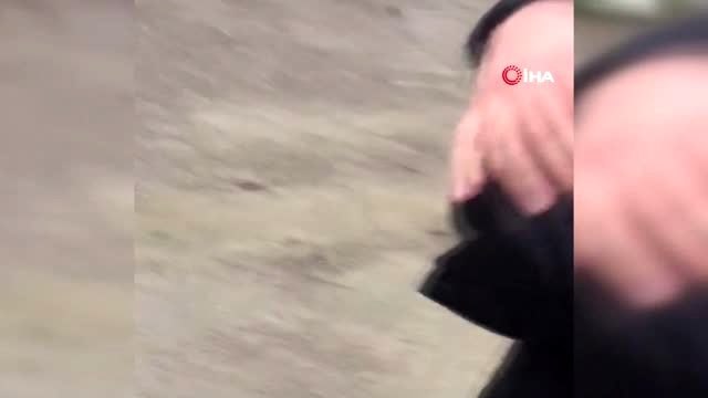 Zonguldak'ta yürek ısıtan görüntü...Yavru kediyi suni teneffüs ve kalp masajı yaparak kurtardı