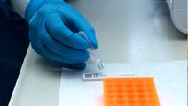 Son Dakika: Türkiye'de 15 dakikada sonuç veren koronavirüs testi uygulanmaya başladı