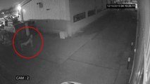 Shocking Ghost Sighting from An Old Factory - Real Ghost Caught On CCTV Camera - Scary Videos