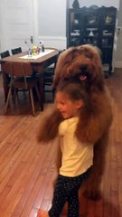 Little Girl Dances With Big Fluffy Dog