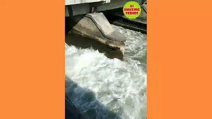 This is a dam of Narita| A1 amazing vedios||