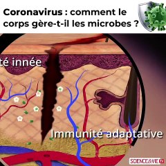 Science & Vie TV CORONAVIRUS Le Système immunitaire - L'Esprit Sorcier, le mag avec Fred Courant