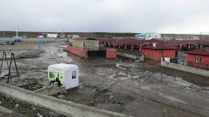 Canlı hayvan pazarları koronavirüs tedbirleri kapsamında kapatıldı - AĞRI
