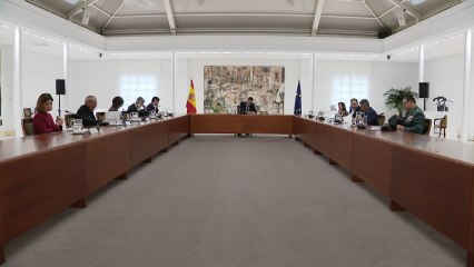 Reunión del Comité Técnico del Covid-19 en La Moncloa, presidido por Pedro Sánchez