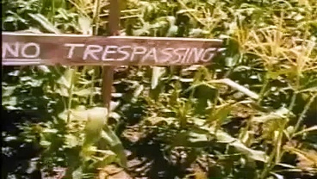 Children Of The Corn 5 - Fields Of Terror - 1998 - Official Trailer