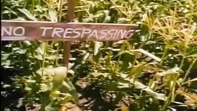 Children Of The Corn 5 - Fields Of Terror - 1998 - Official Trailer