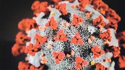 فيروس كورونا  يصيب دول العالم  الكبير والصغير والساسة والرؤساء والمسؤولين والمشاهير بلا تمييز