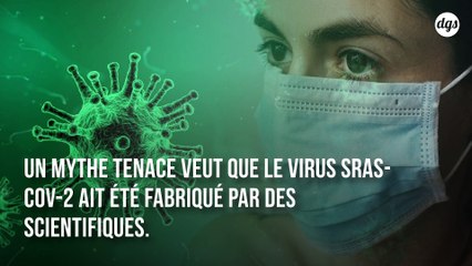 Non, le coronavirus n'est pas le fruit de sombres recherches scientifiques