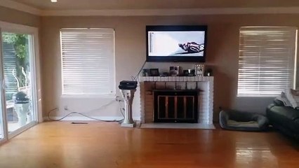 Stay Safe with Wheelie 🚲