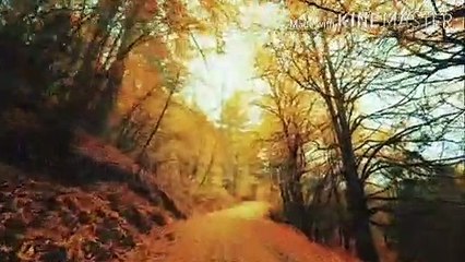Rab-e-conain mery dil ki sadayien sun le (beautiful Hamd). Pori hamd suniye ga emaan taza ho Jaye ga. Or plz share bhi kijiye ga.