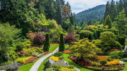 Canada  beautiful flower & gardens.