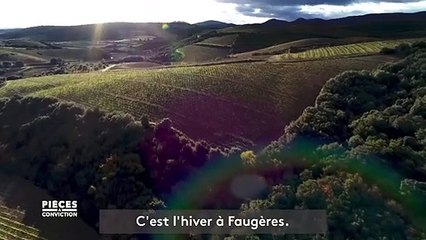 "Le sol a changé !" La vigne avant et après l'abandon des pesticides