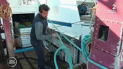 Coronavirus : les marins-pêcheurs à la peine