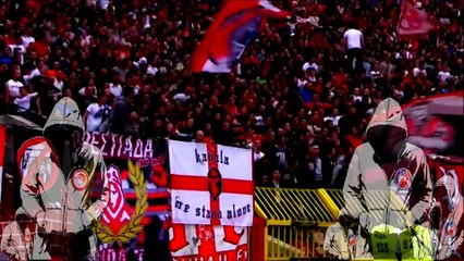 Delije Gate 7 Orthodox Brothers