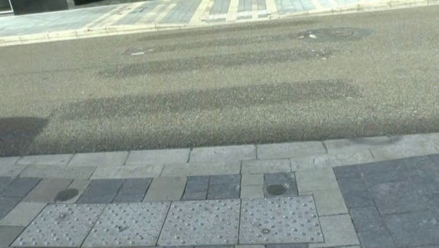 LES SCOOPS DE MICHOU W-D.D. - 15 MARS 2020 - PAU - RUE LÉON DARAN PAS DE MATÉRIALISATION DES 3 PASSAGES PROTÉGÉS