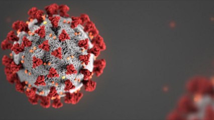 12 மணி நேரத்தில் கொரோனாவை கட்டுபடுத்த முடியுமா? உண்மை என்ன?