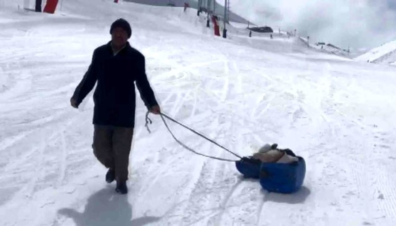 Hasta buzağıyı kızakla veterinere götürdü