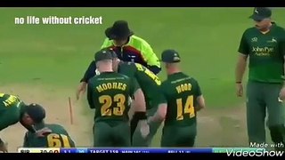Live_death_in_cricket(360p)