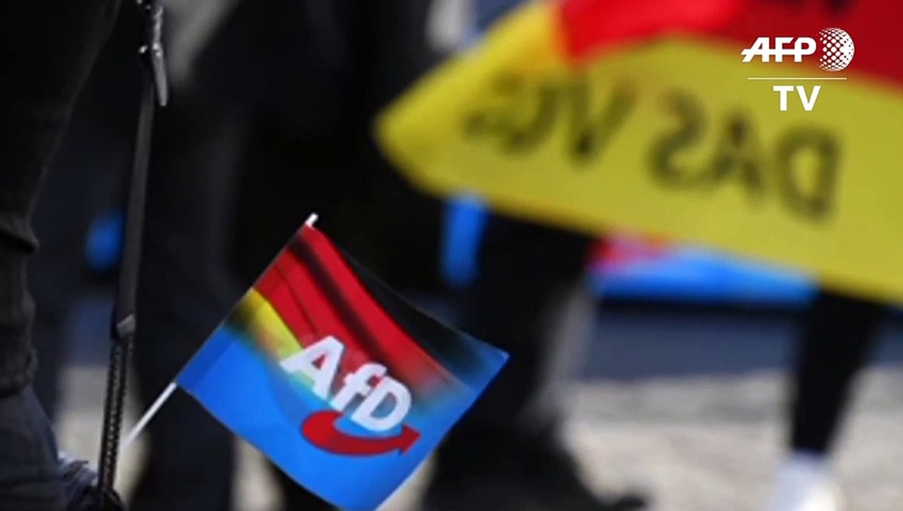 Rechtsextremer 'Flügel' in der AfD löst sich offenbar auf