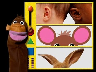 Baby da Vinci From Head to Toe