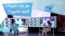 هل يصيب فيروس كورونا الحيوانات الأليفة؟