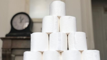 Papier toilette : un simulateur pour calculer combien de temps vous tiendrez avec votre stock