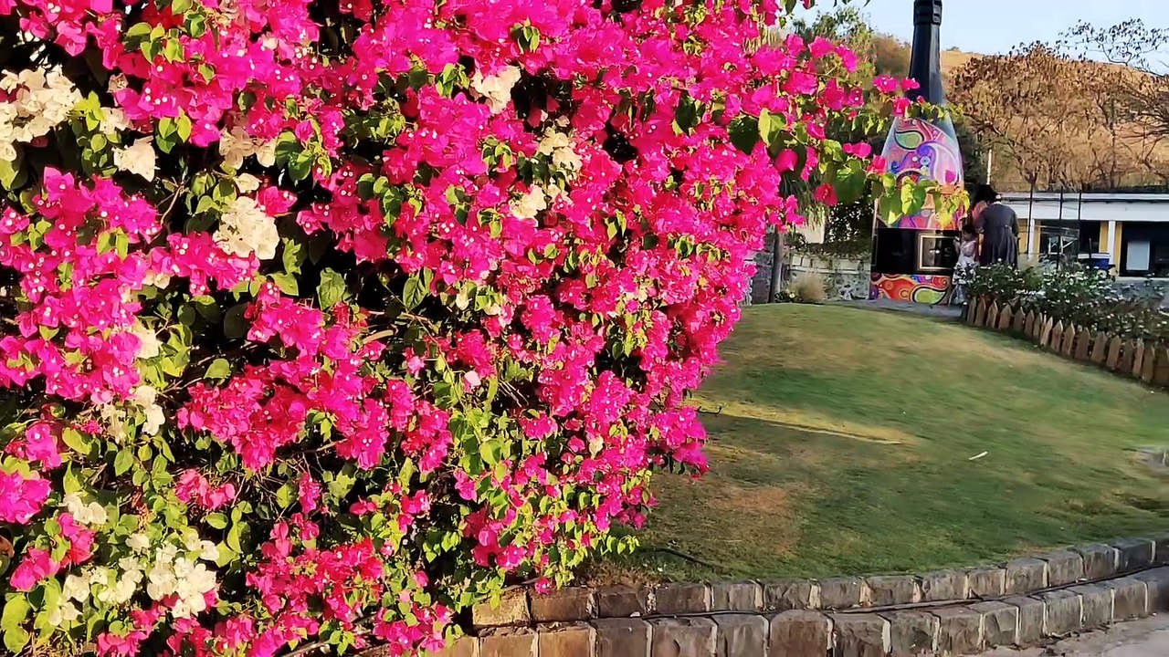 Sula Wines Nashik, Tour  Tasting & More