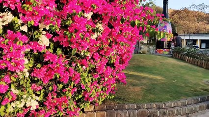 Sula Wines Nashik, Tour  Tasting & More