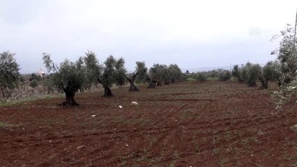 "Kilis sabunu"na yoğun talep
