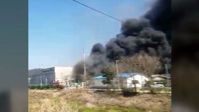 경기 용인시 달걀 저장소 불...다친 사람 없어 / YTN