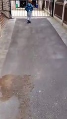 Tot asks neighbours if they need help during coronavirus crisis