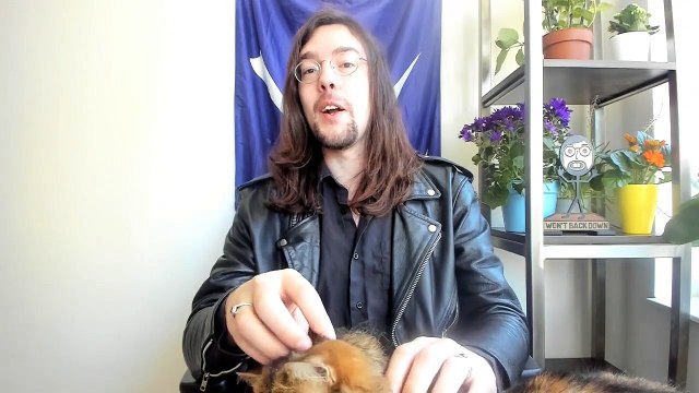 Coronavirus Update- 312,000 Infected, 13,000 Dead, German Death Rate Anomaly