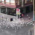 İnsanların yem atmasına alışan güvercinlerin, karantina altında olan İspanya sokaklarında bir insan görmesi ve verdikleri tepkiler