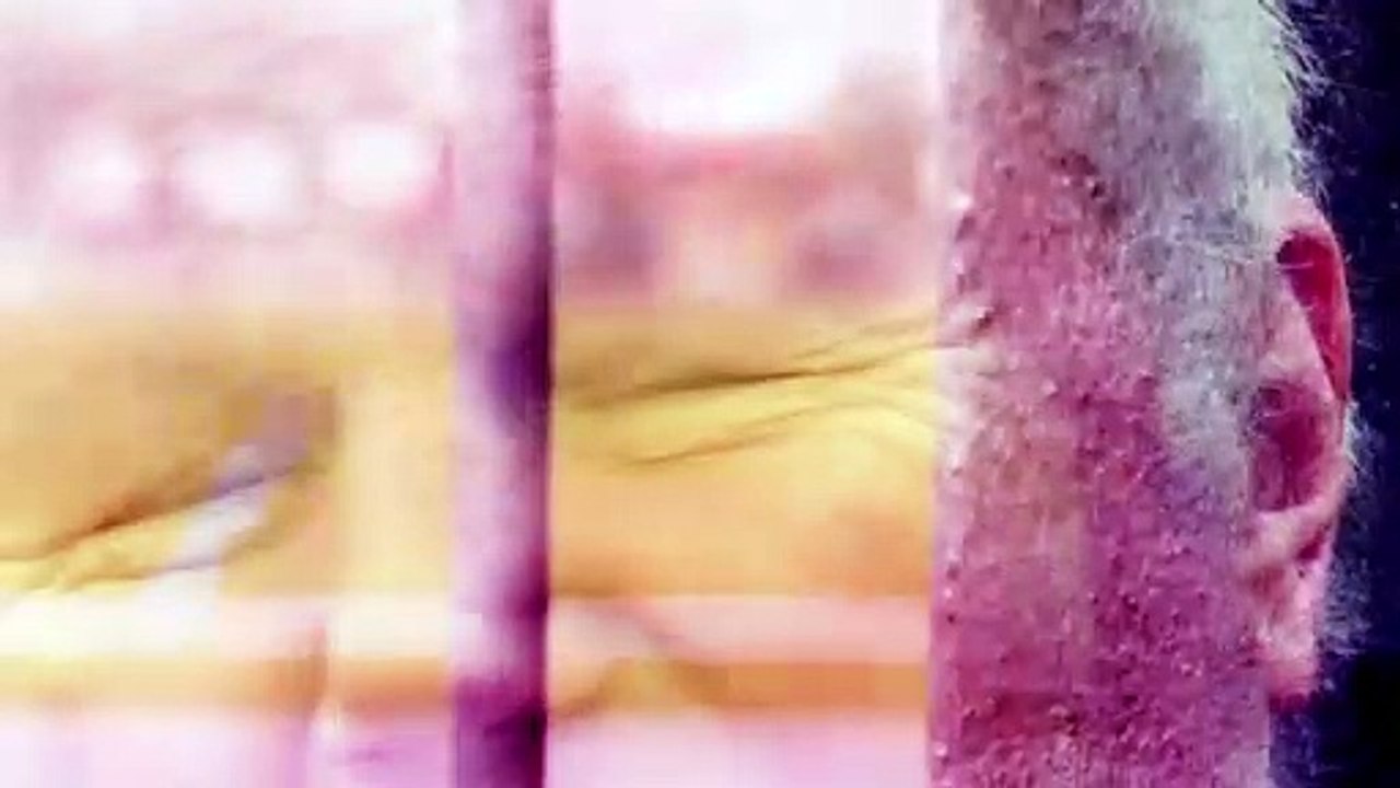 Nach 21 Jahren Gefängnis - wie der Fußball Behrend Schulz resozialisiert