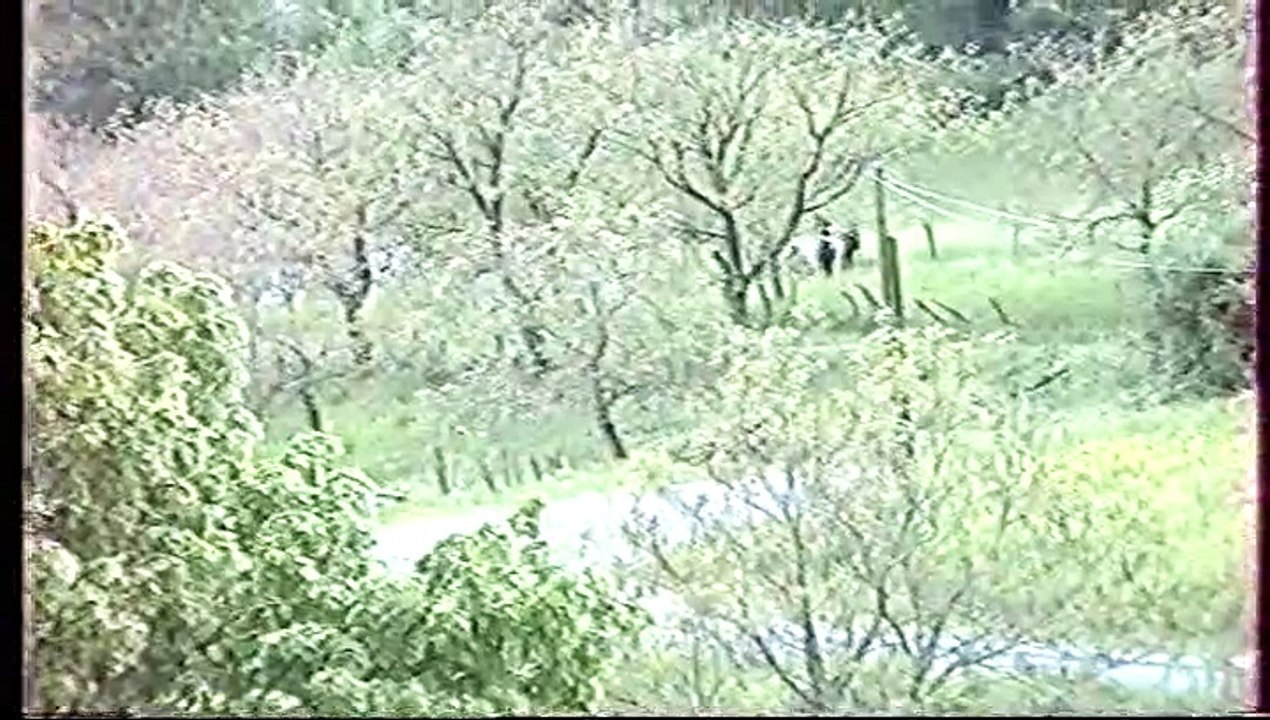 Rallye de la Coutellerie 1994