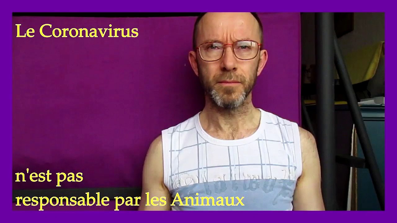 STOP à l'ABANDON ANIMAL (Campagne Officielle)