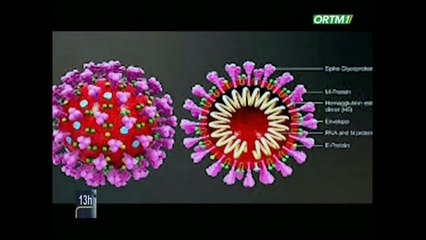 ORTM-Edition de 13H du JT du Dimanche 22 Mars 2020