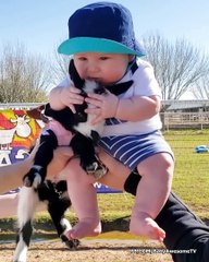 Funny Babies Sweet Kissing Moments