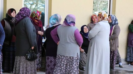 Çubuk'ta ağaç budarken kafasına dal düşen kişi hayatını kaybetti - ANKARA