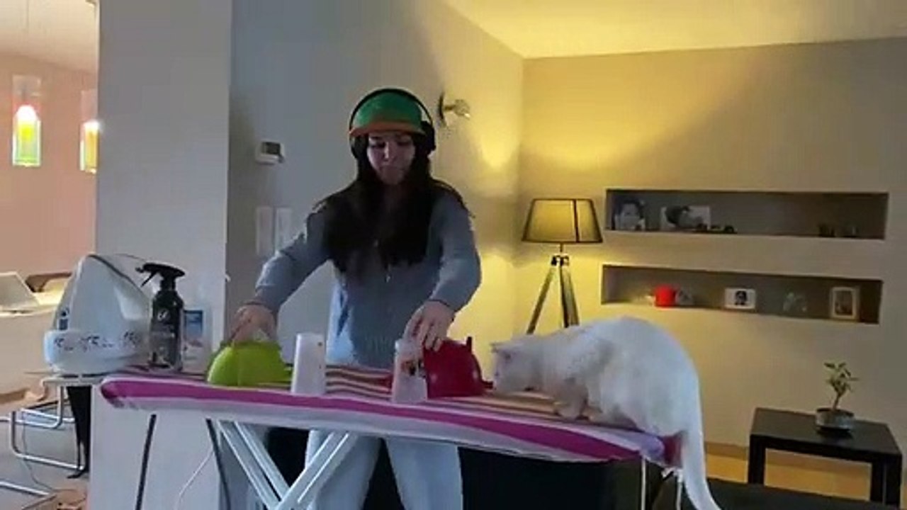 Confinement : Elle mixe à côté de son chat et ça dérape !