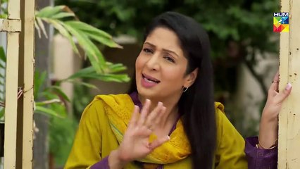 Wafa Kar Chalay Episode 21 HUM TV Drama 22 January 2020