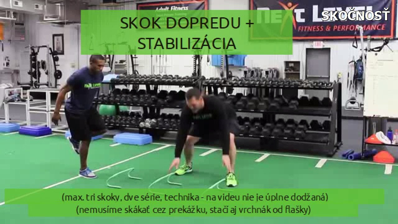 SKOČNOSŤ