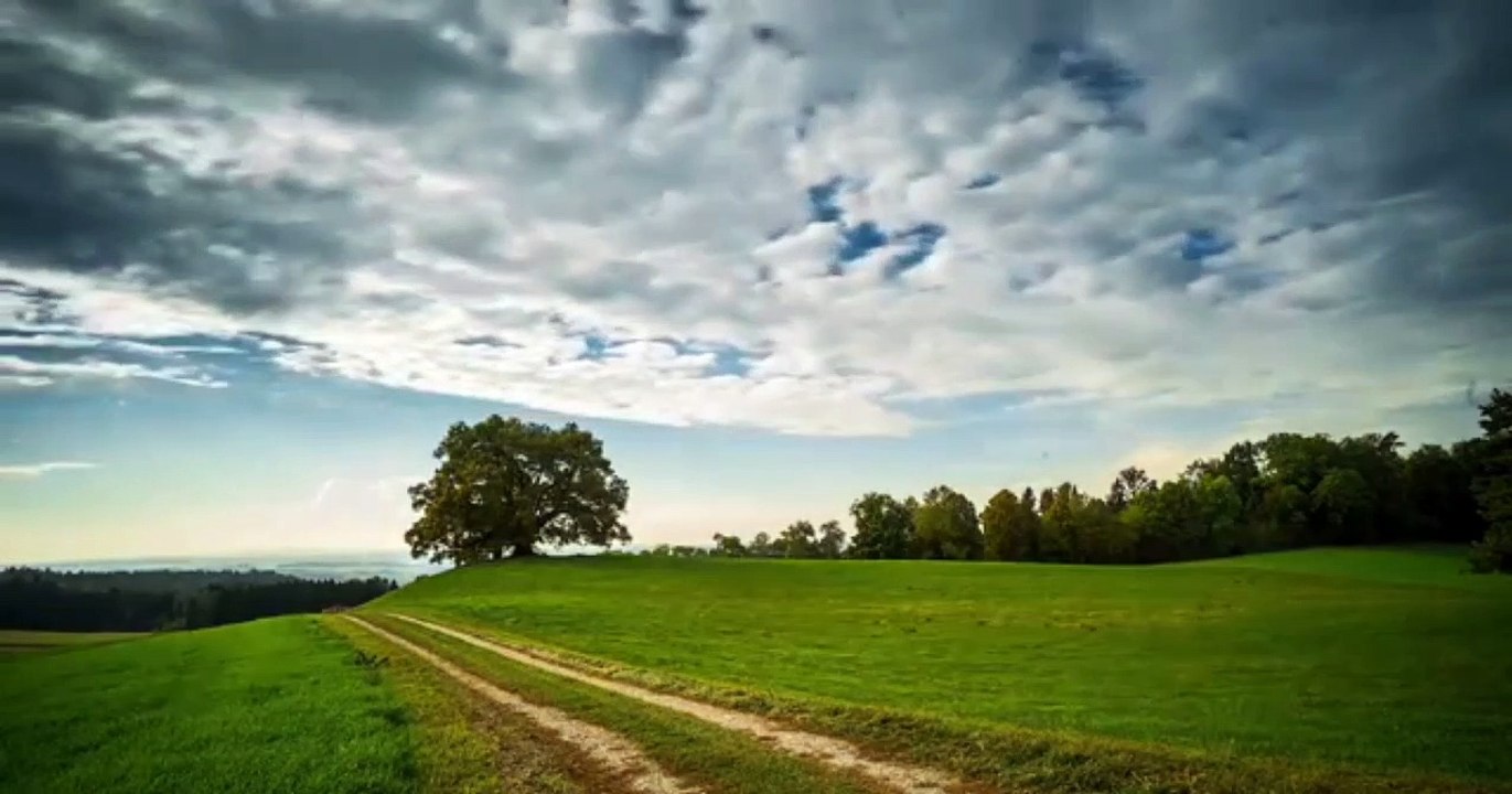 Surreal Video Clip | Panorama Alam Clip Video Nyata Viral...