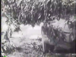 A Beast at Bay 1912 Silent Film