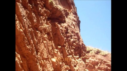 SALTA: Quebrada de las Conchas (2017)