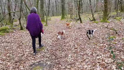 Les poilus en balade 2
