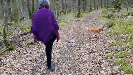 Les poilus en balade 4