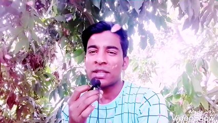 Unity is strength. Agar aap mil jul Kar rhte hai to duniya ki koi takat aapko nhi hra sakti hai.