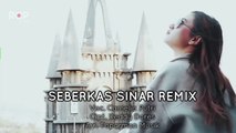 Seberkas Sinar Remix - Camelia Putri ft Toparmon Musik
